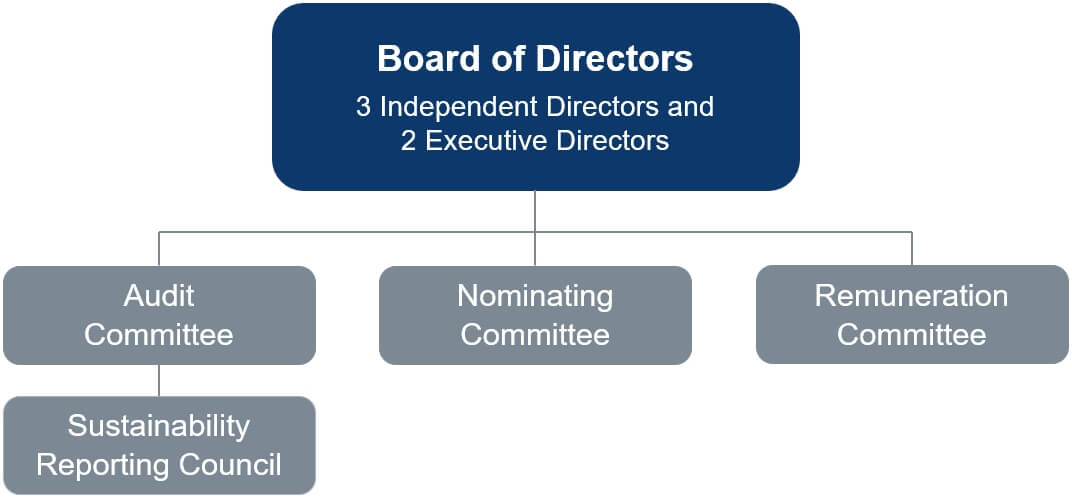 Approach And Governance - Medtecs Group